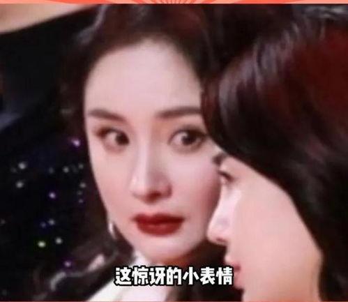 娱乐圈吃瓜完结,真相大白，尘埃落定