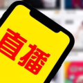 网红直播企业