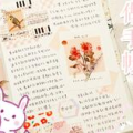 小姐姐囤红酒,小姐姐的品鉴与收藏之旅